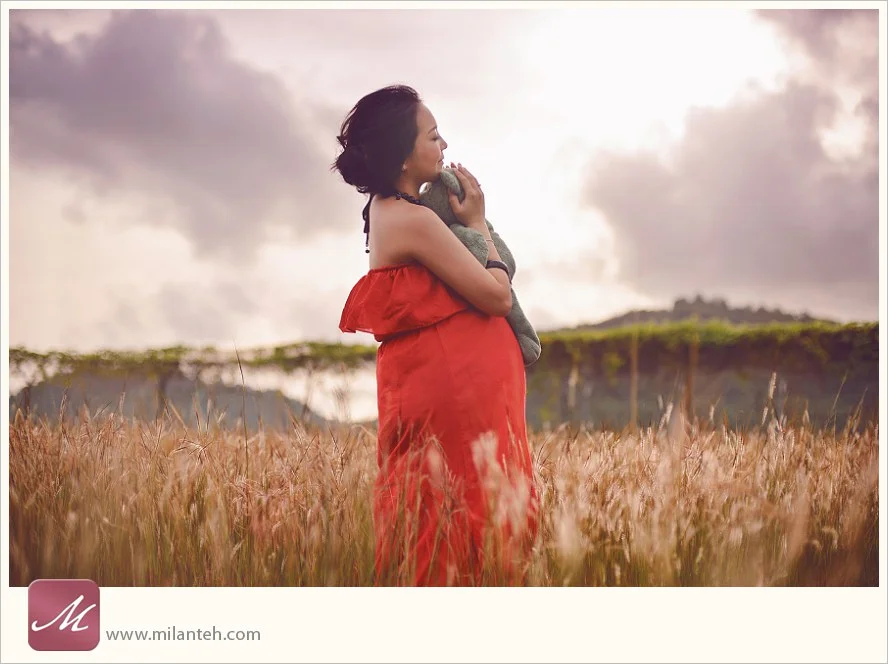 penang-photographer