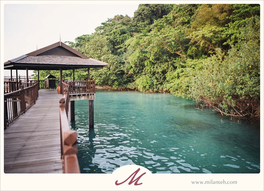 pangkor-laut-resort-beach-proposal_0058.jpg