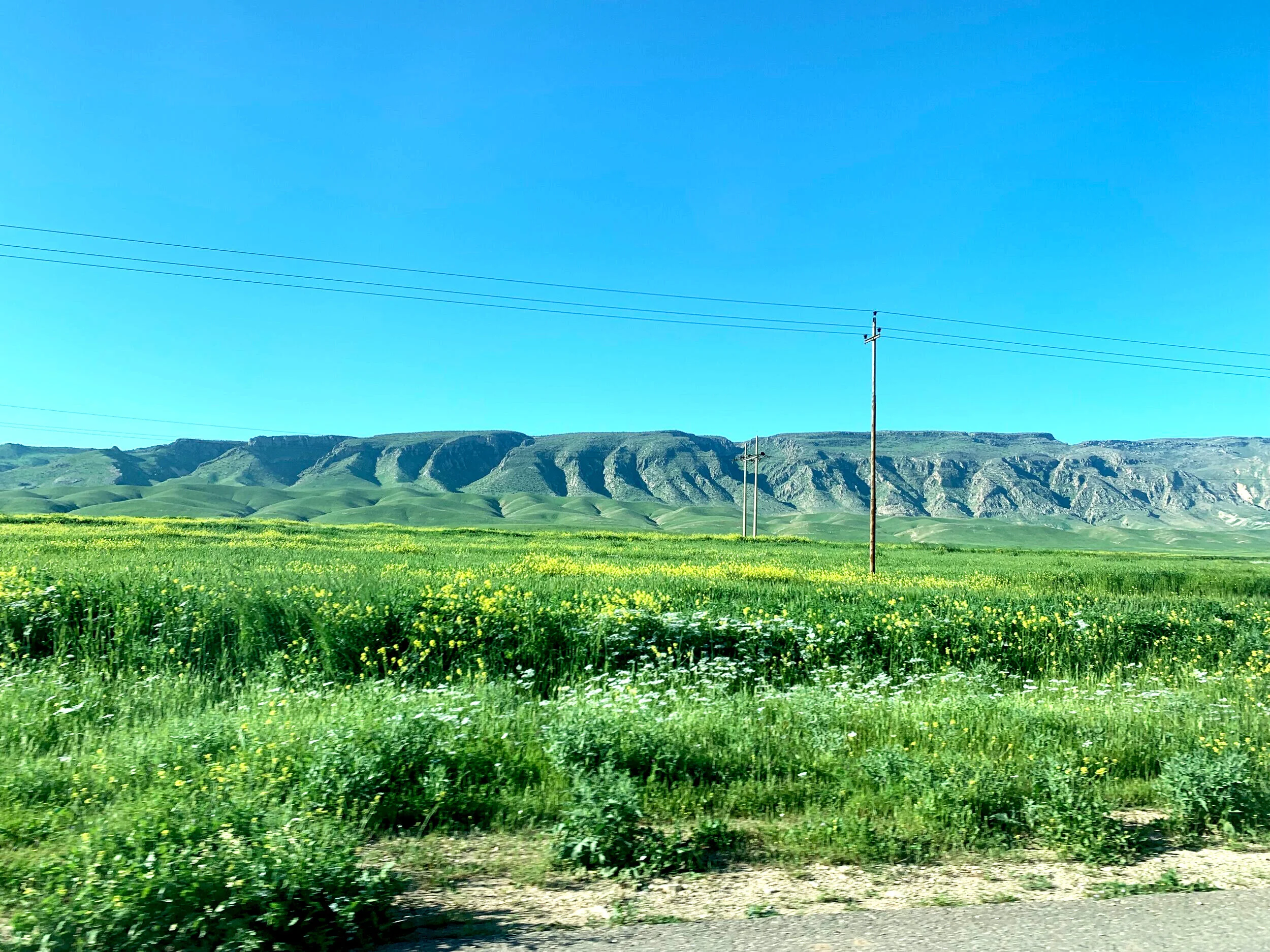 IMG_0868.jpg