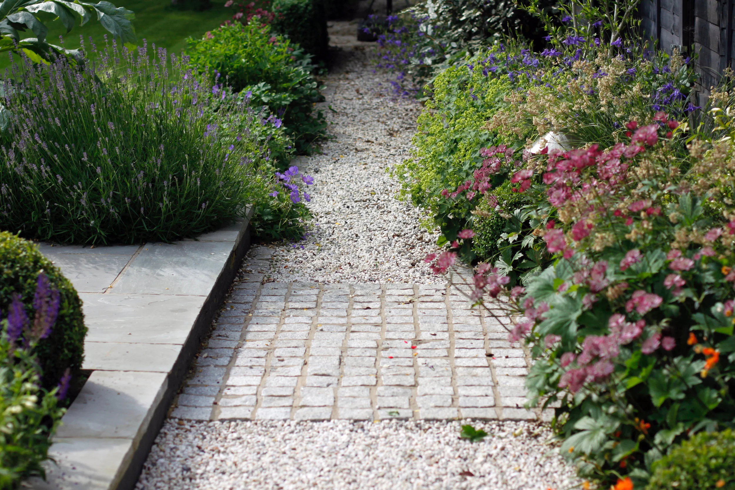 Relaxed Family Garden — Contemporary Garden Design London UK Garden Designer