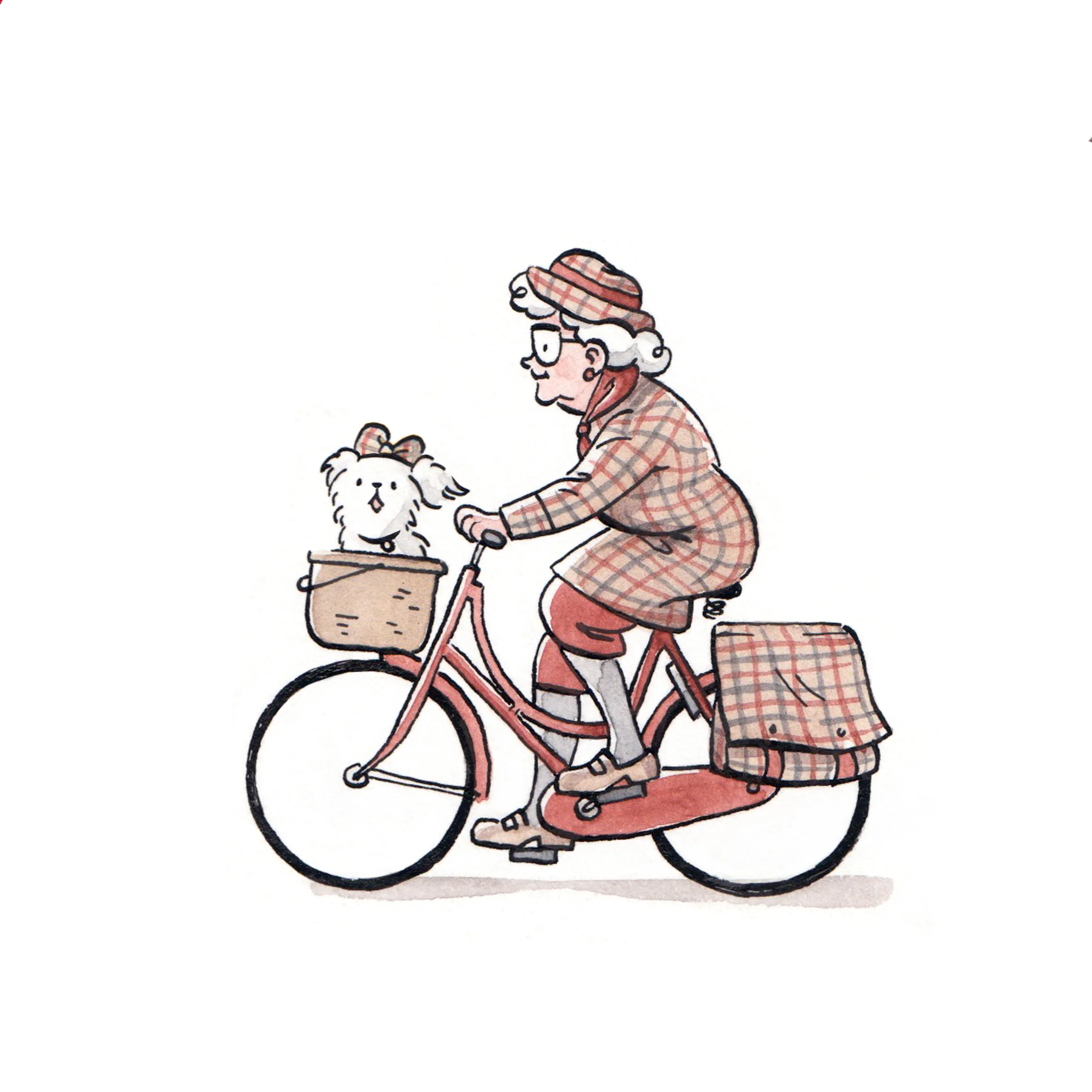 mirjamplettinx_omafiets.jpg