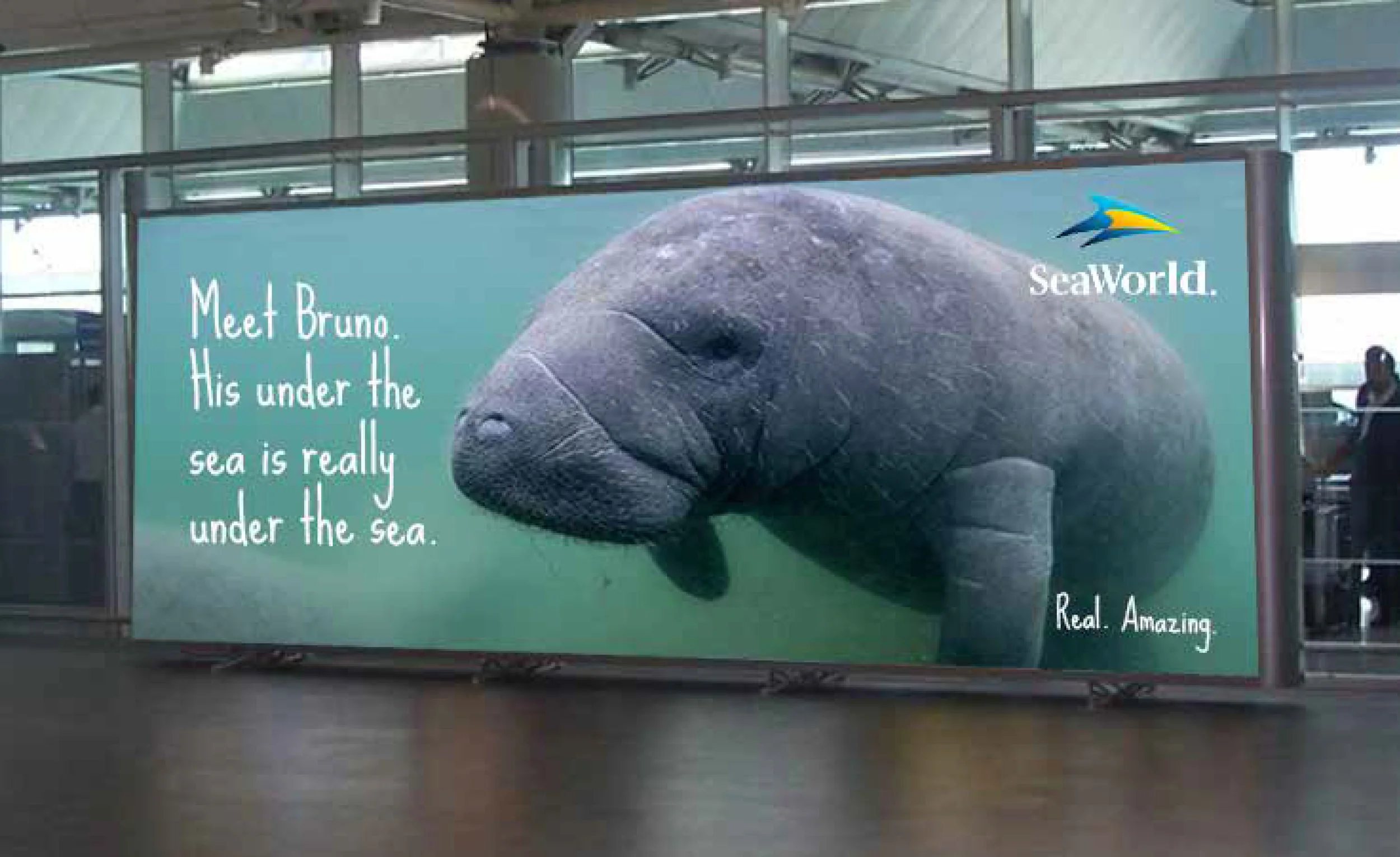 MeetBrunoAirport.jpg