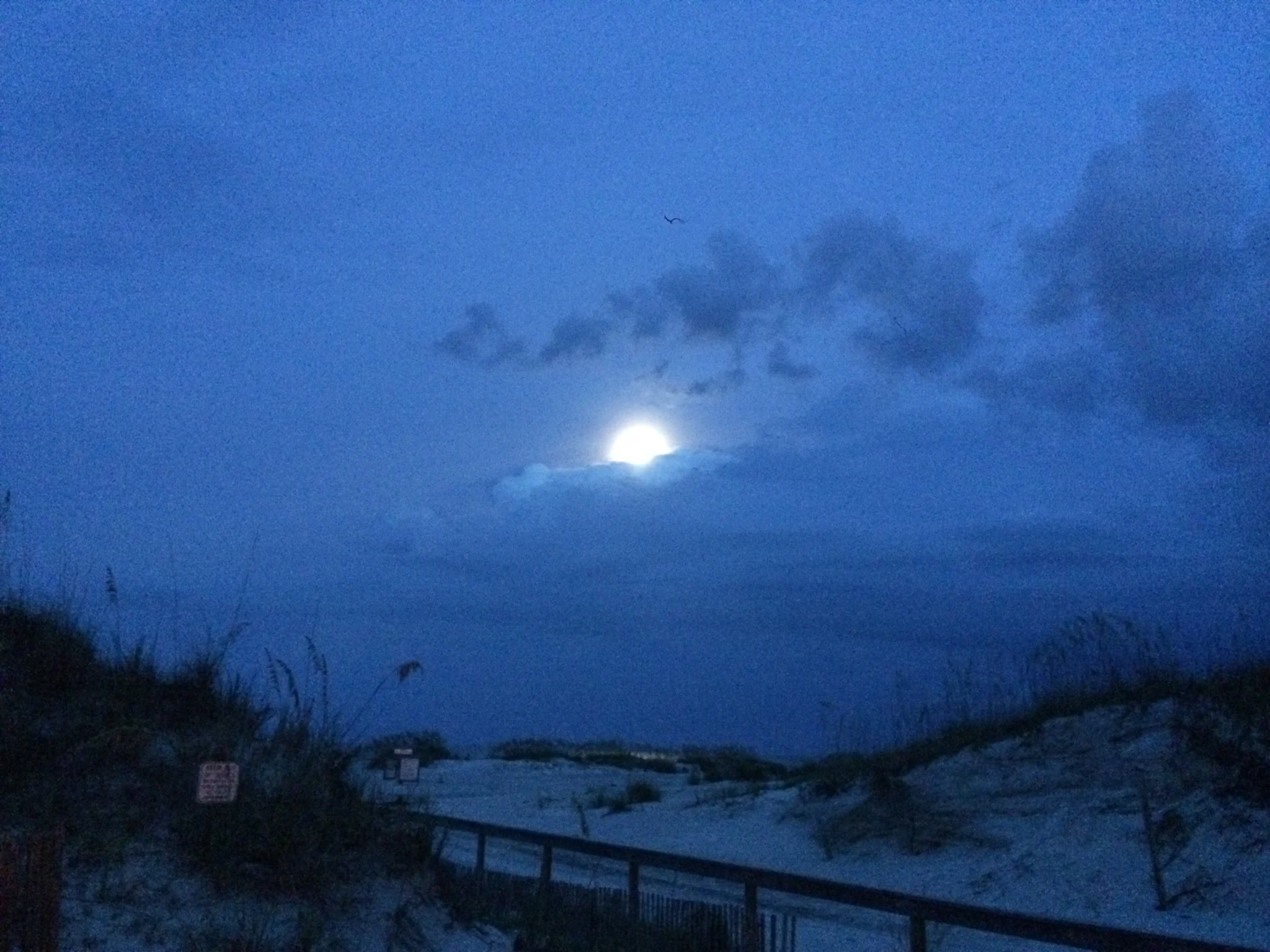 FullMoonFlorida.JPG