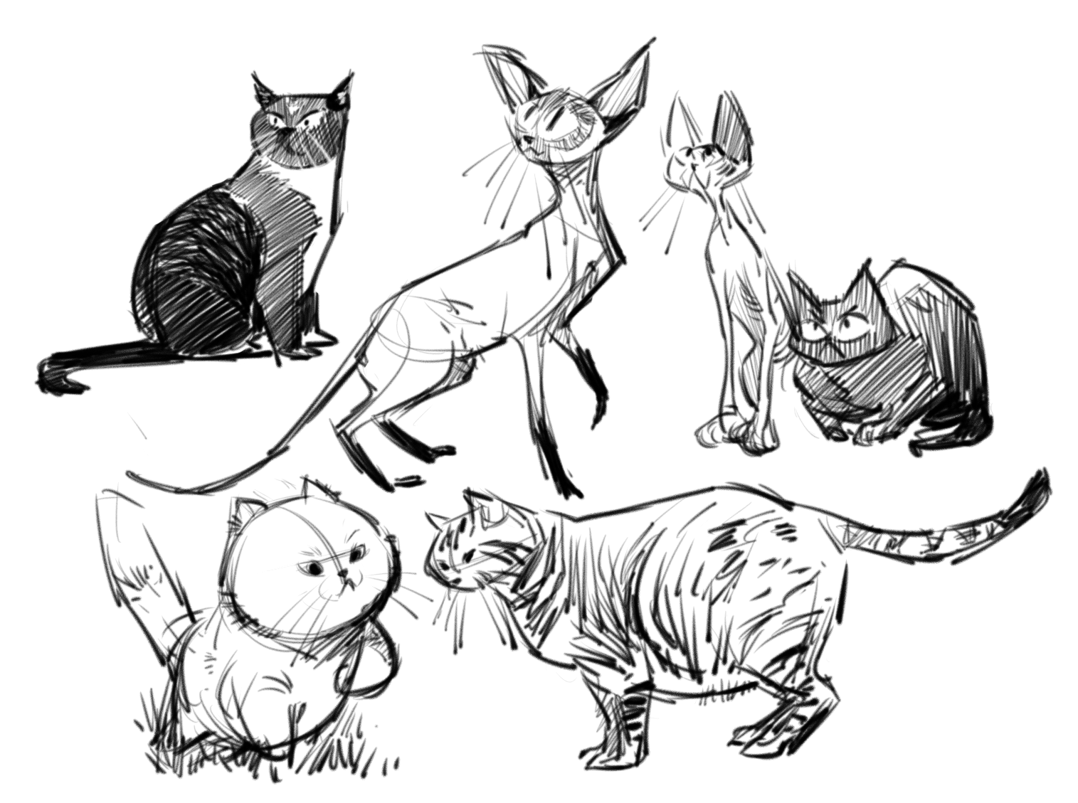 kshiraj_telang_artwork_cats.png