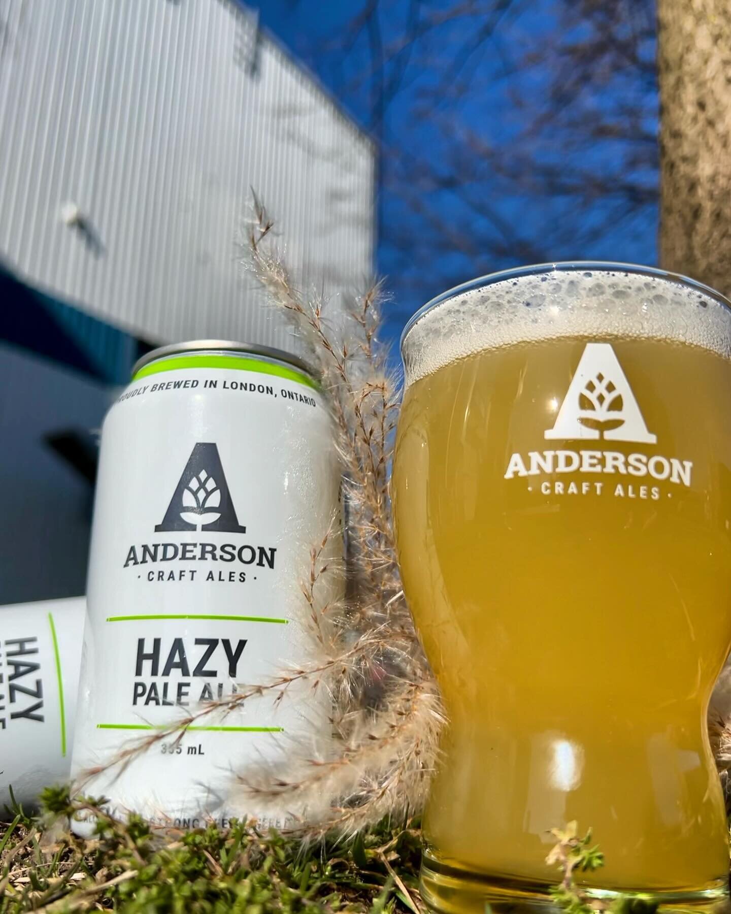 What a sunny day to come out and enjoy a beer. Patio season will soon be upon us if the weather keeps up! 

Enjoy our new spring drop! Our Hazy Pale Ale. 

Music from 1-4pm today. And catch us at the @iheartbeerca at RBC Place today!