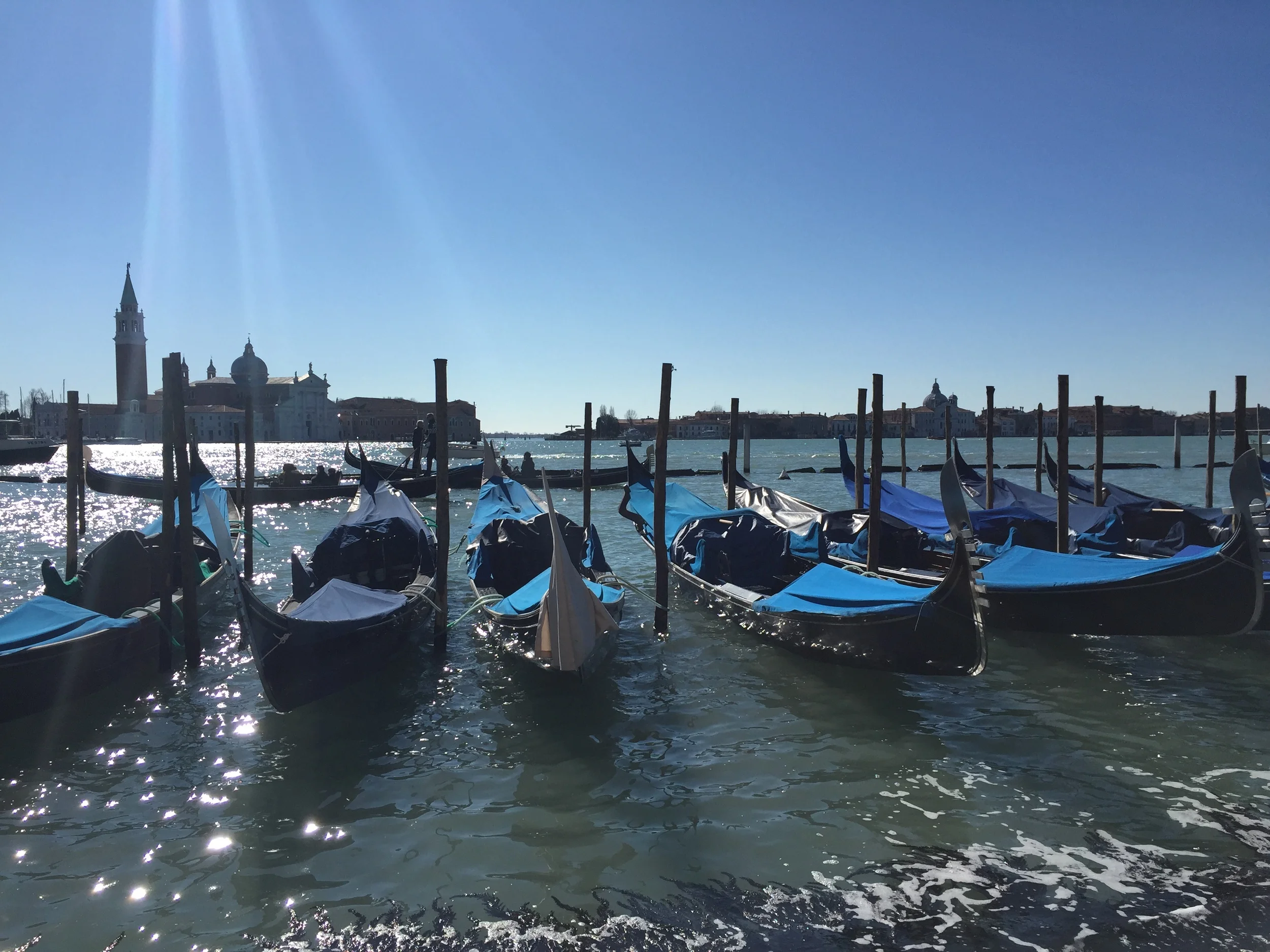 2015-03-06 10.39.50.jpg