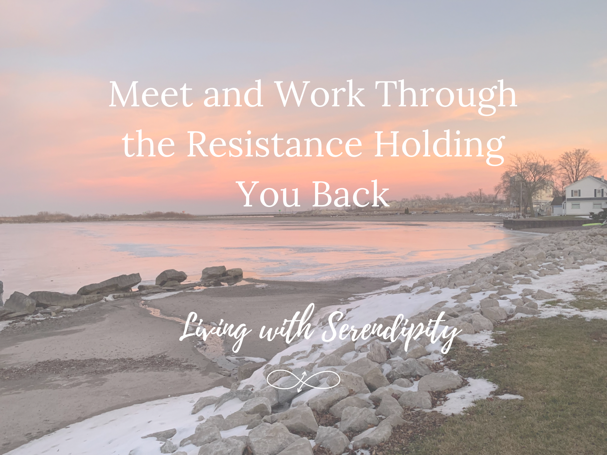 Meet and Work Through the Resistance Holding You Back.PNG