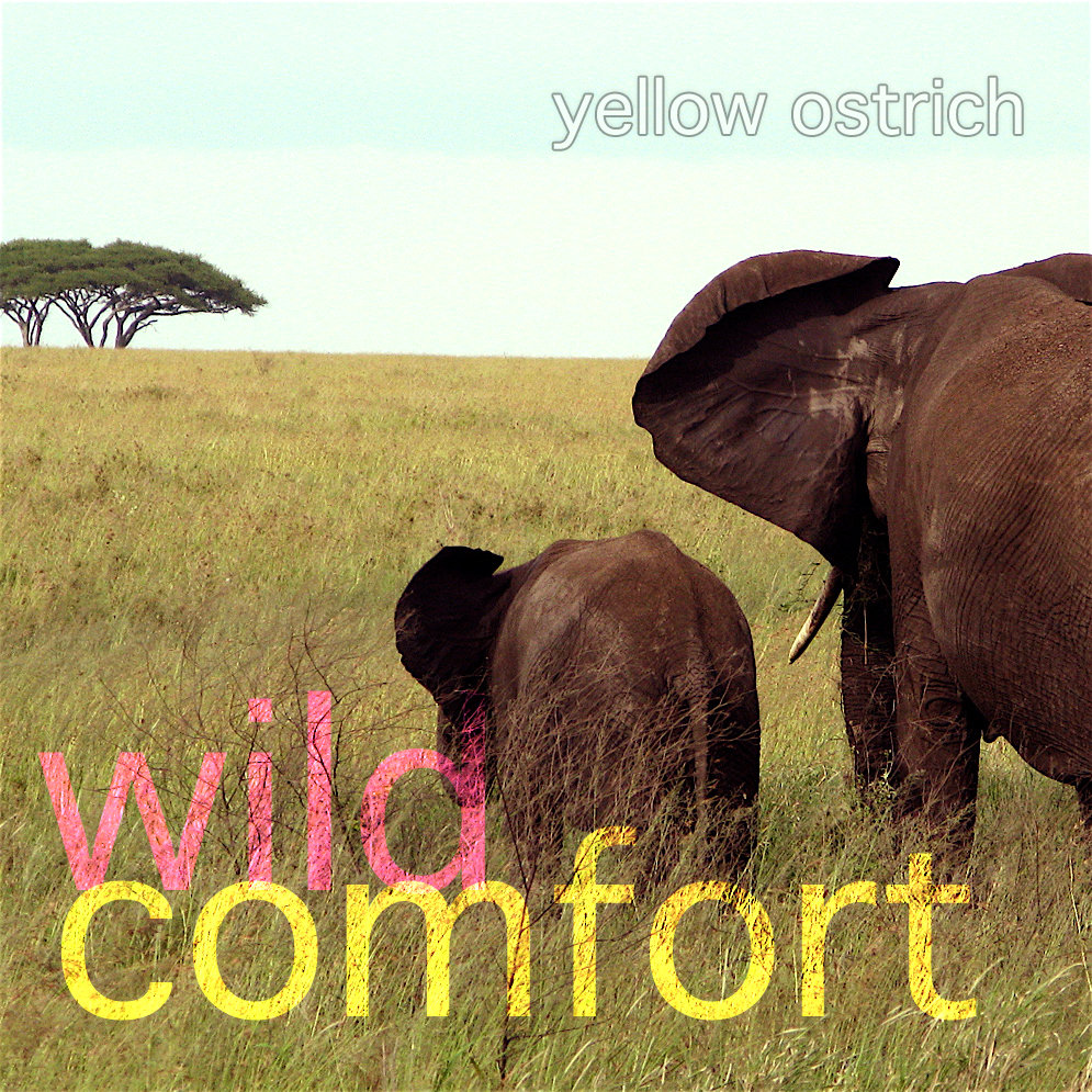 Yellow Ostrich - Wild Comfort (2010 LP)