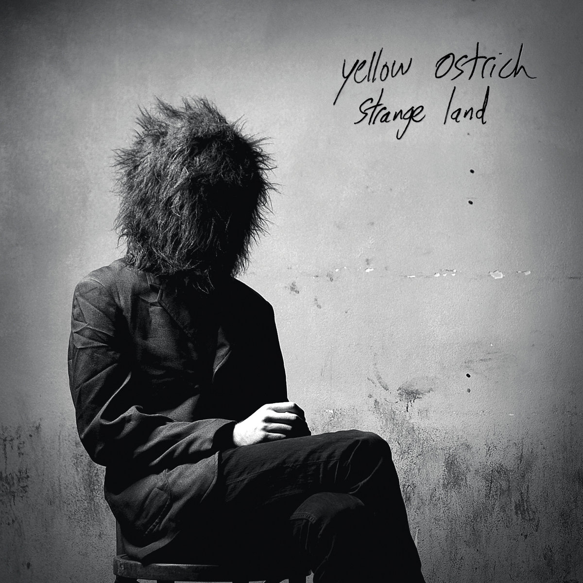 Yellow Ostrich - Strange Land (2012 LP)
