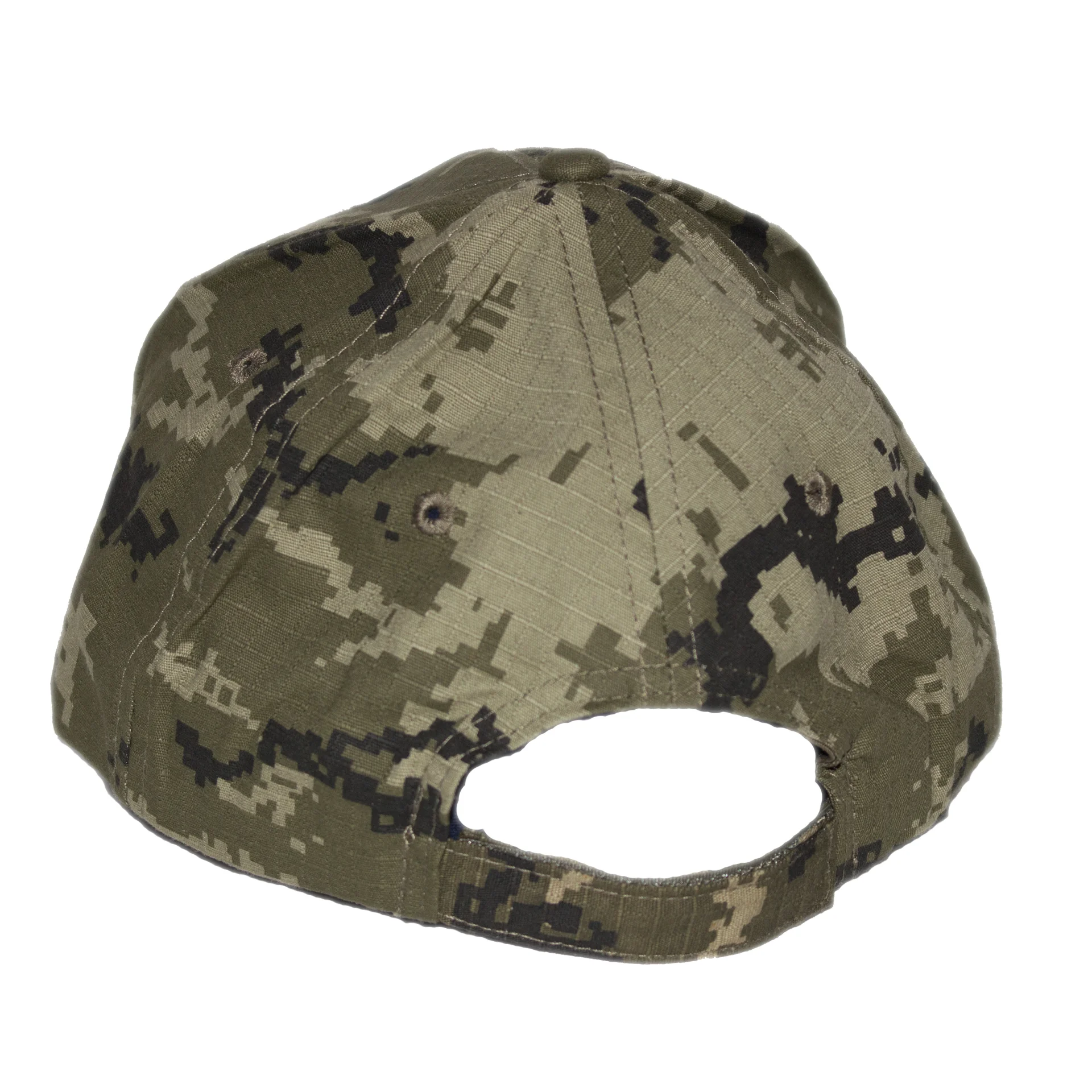 Camo cap W BG 4.jpg
