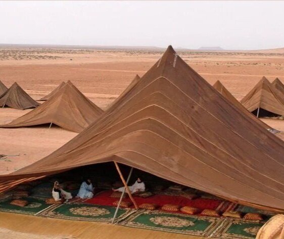 Aanzienlijk Veel gevaarlijke situaties ik heb honger Moroccan Tents | Moroccan Berber Carpets