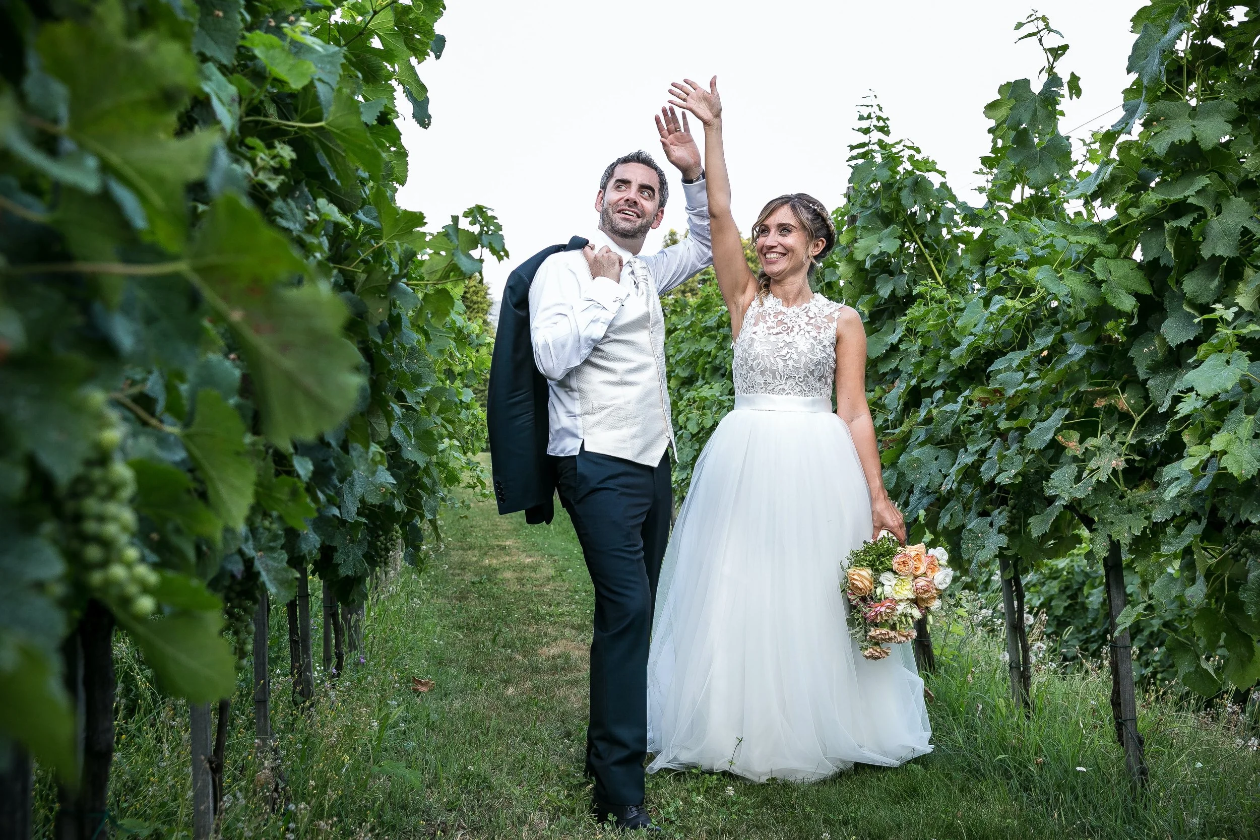 Signature Winery