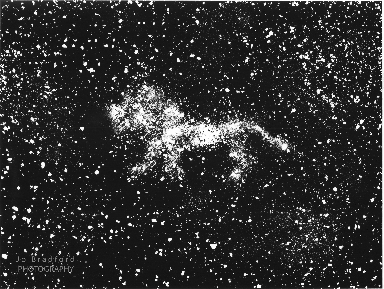 Leo, The Lion Constellation