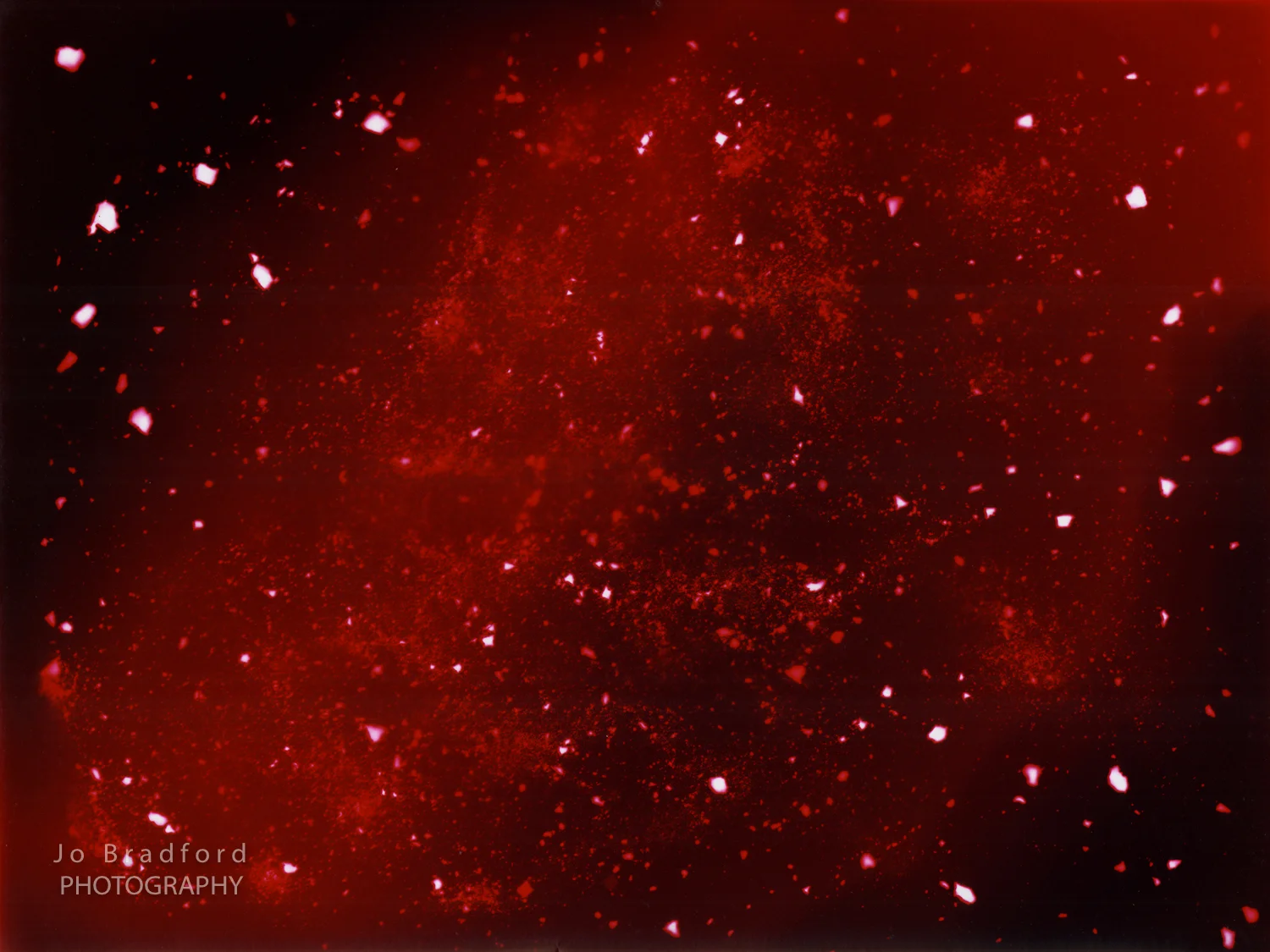 Meteorite Photogram, 2004