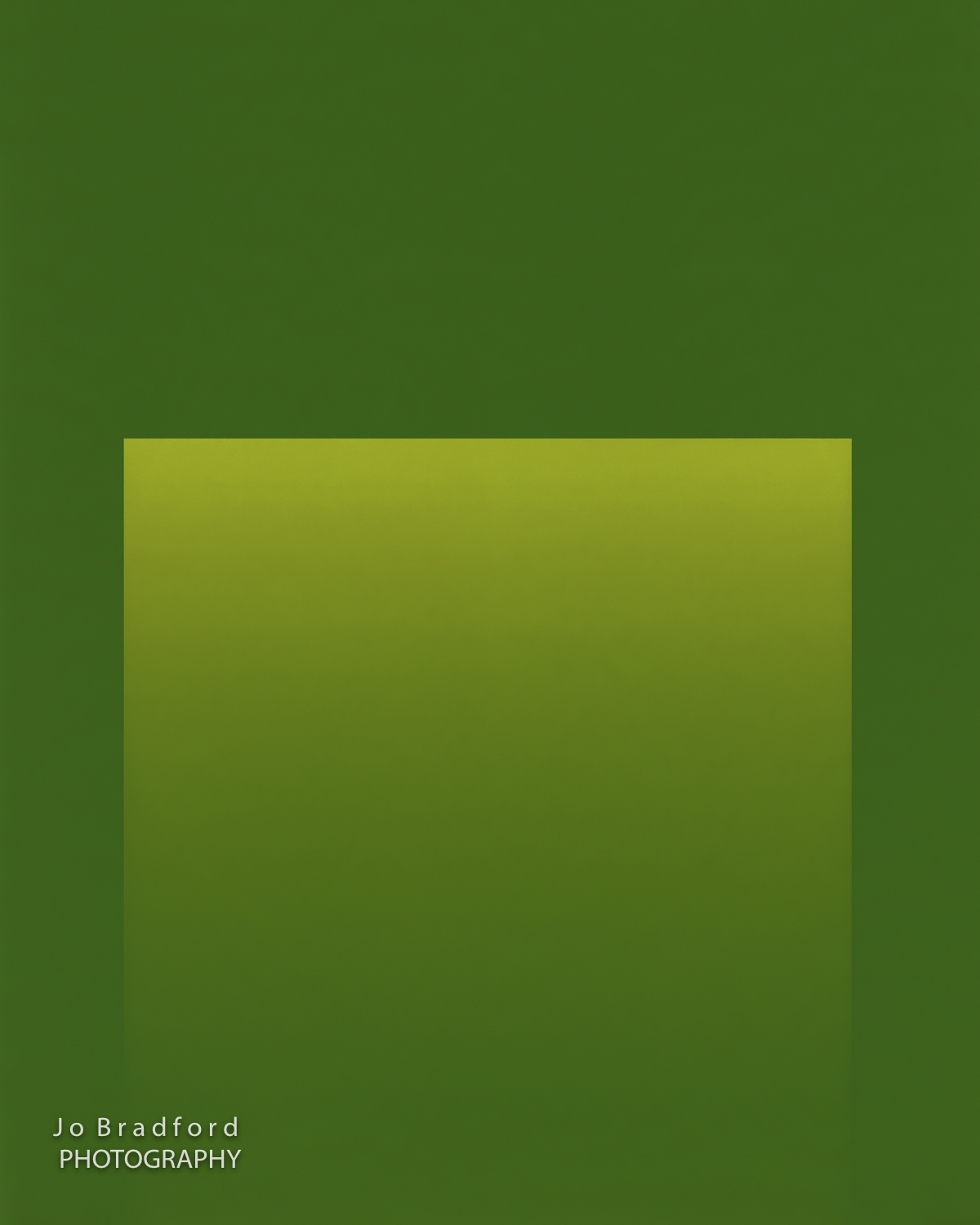 Portals: Chartreuse