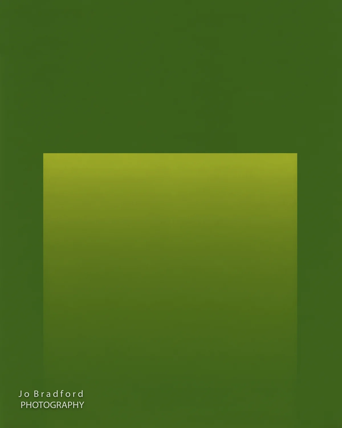 Portals: Chartreuse