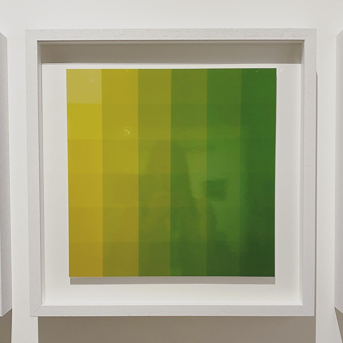 Chroma: Yellow to Green. (Light on paper. Cameraless photogram). From a series of 6 analogue darkroom prints spanning the colour spectrum. For more info check out @gasgallery
