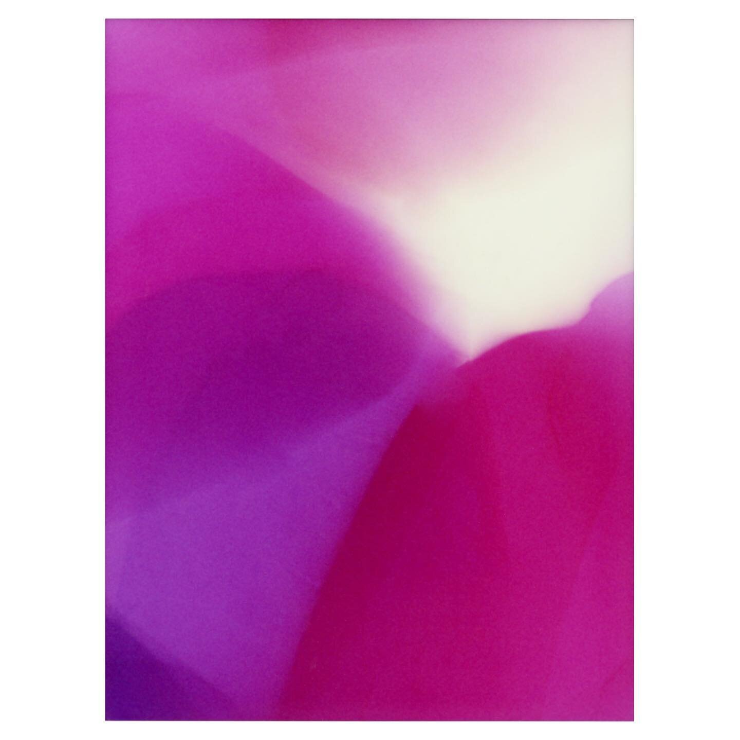 Living Proof. 15&rdquo; x 20&rdquo; Pigment Print from photogram on German Etching paper. Limited edition of 25. This new print is going to be at the @affordableartfairuk stand F7 with @ginacross_art from the 19th October