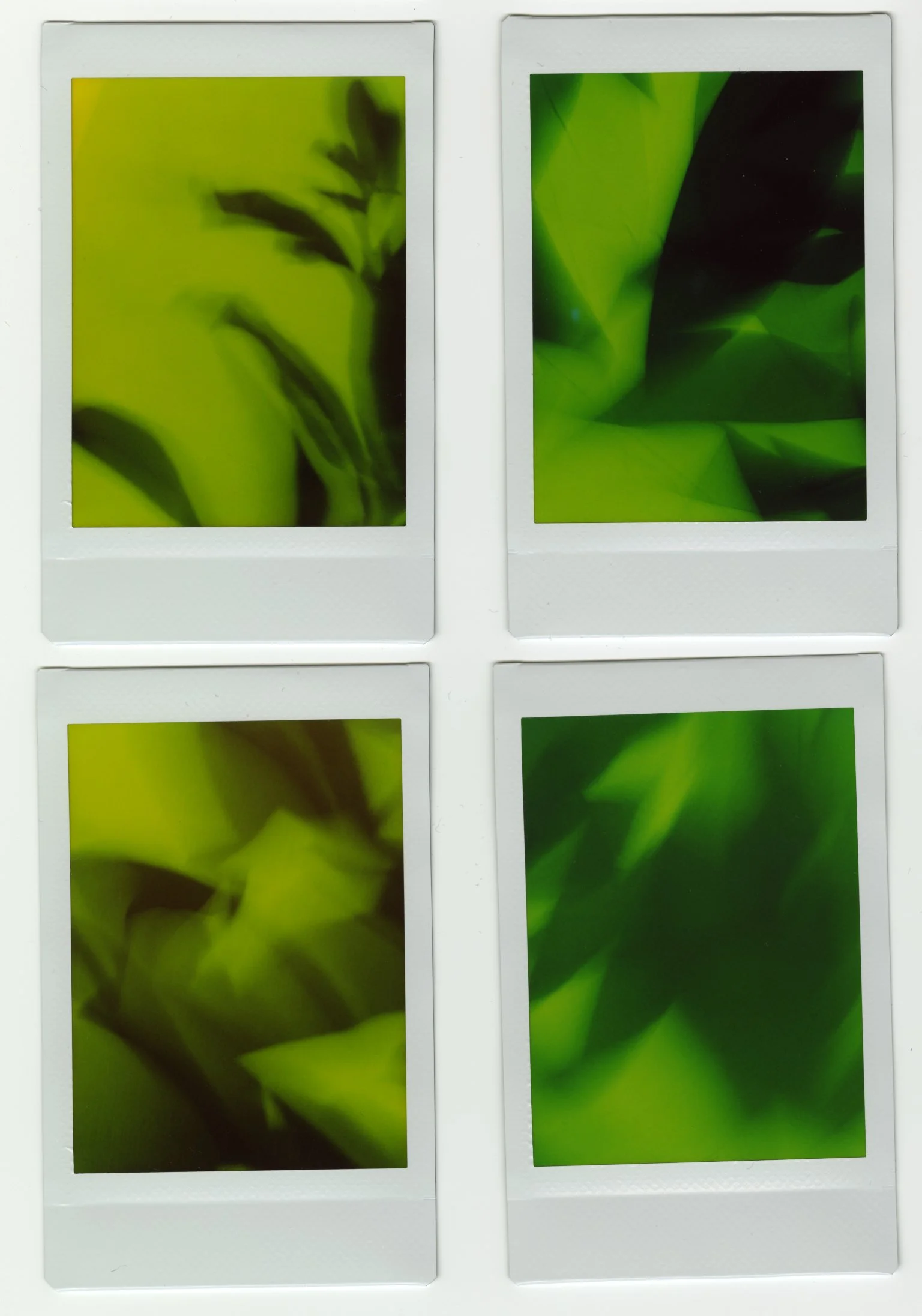 Canopy WIP section.jpg