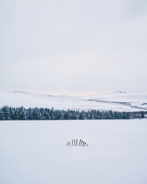 image-asset(4).jpeg