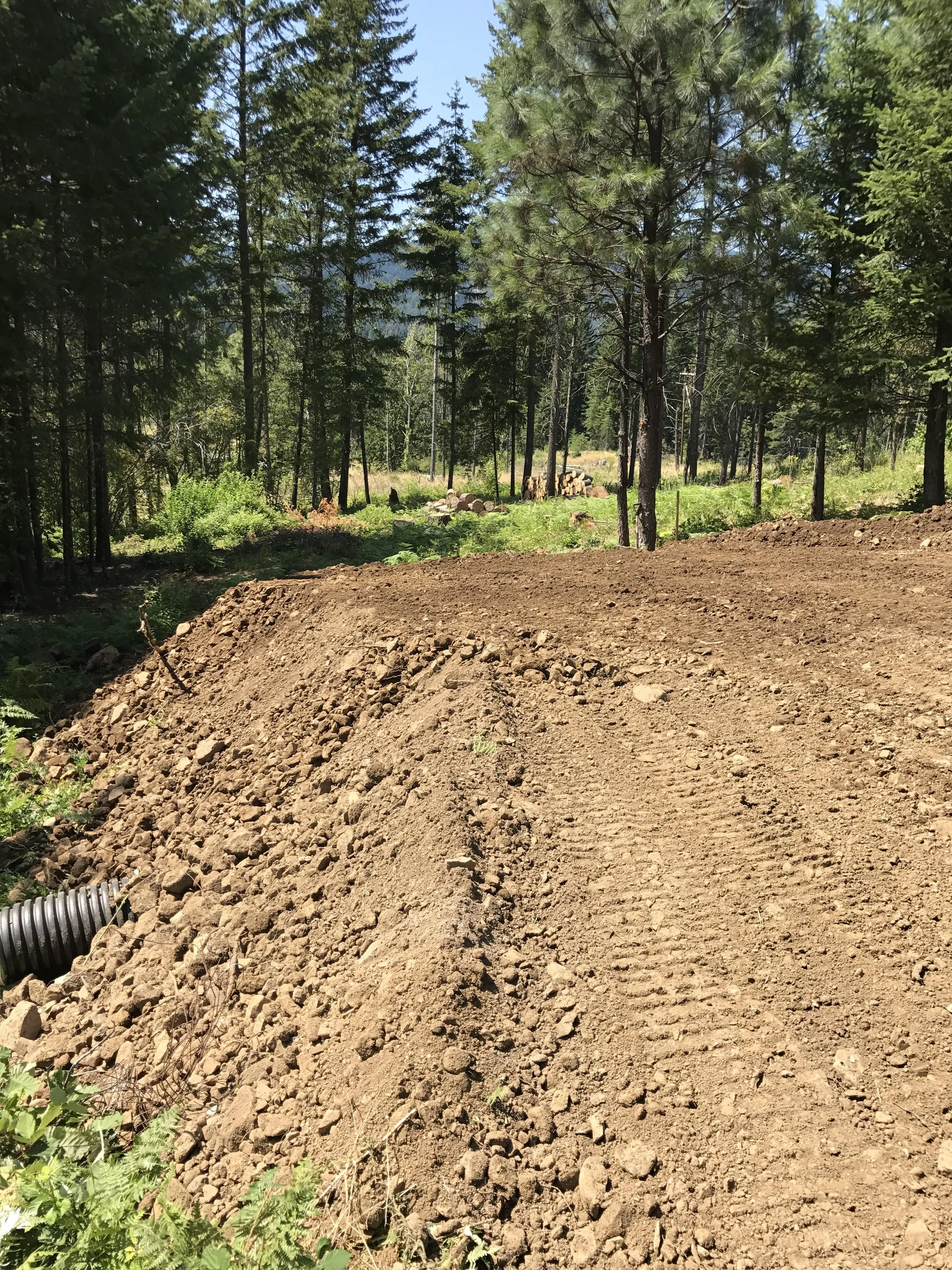 driveway rough in.JPG