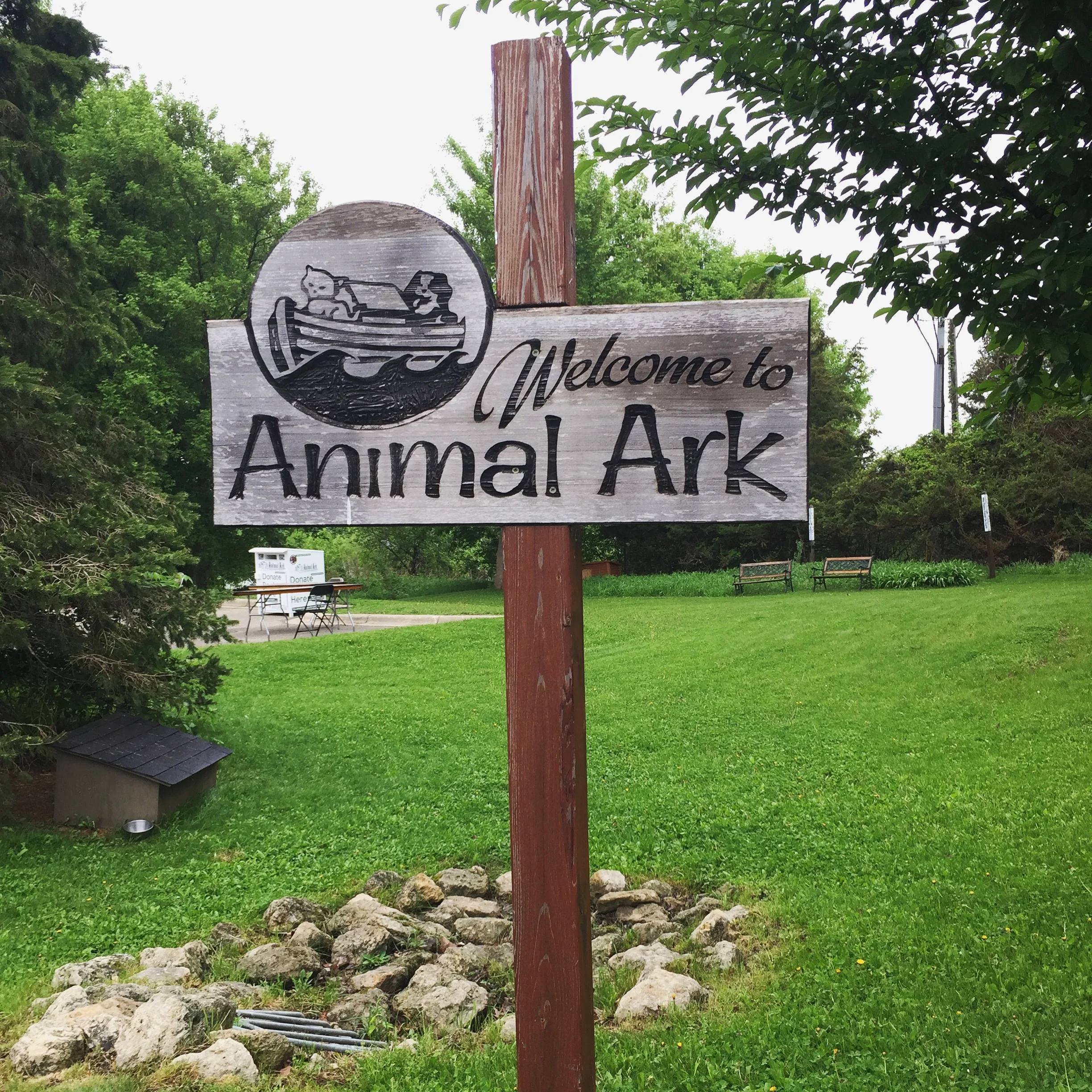 Animal Ark-5.jpg