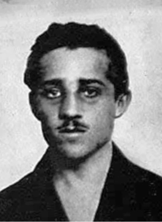 …a merénylő, Gavrilo Princip
