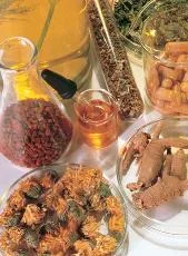 Liquid Herbs Are Worth the Taste