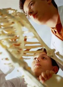 Natural Remedies for Bones