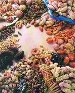 Secrets of a Healthy Life