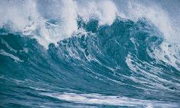 Water, Water Everywhere and Not A Drop to Drink