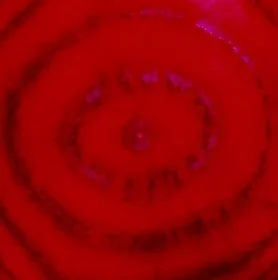 Whole Foods in Focus: Beets