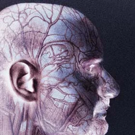 Don't Underestimate The Power of Your Blood