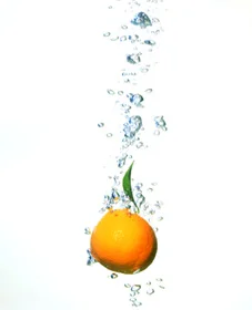 Digestion 101: Stomach Acid & Reflux