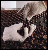 The Candida Handbook