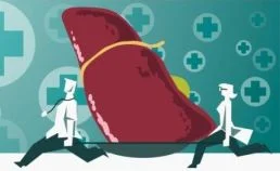 Your Liver Is Calling...