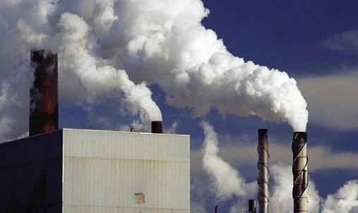 What Can You Tell Me About Cancer? (First Installment)