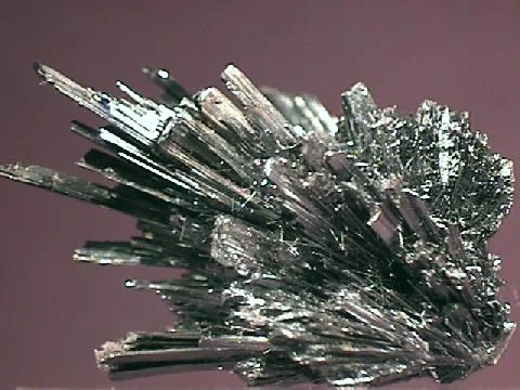 Heavy Metals Are Everywhere... Are Your Children’s Illnesses the Result?