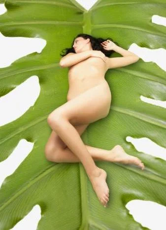 Body Purification: The Essential Life Saver