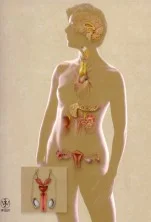 Using Herbs For Polycystic Ovarian Syndrome