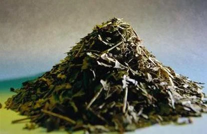 Miraculous Answers for Hemmorhoids