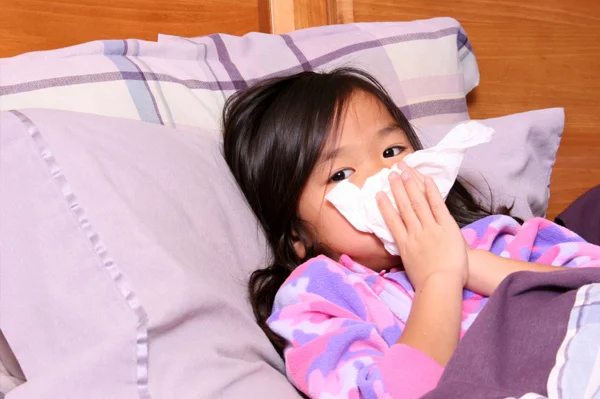 Mold Toxicosis: Sneaking Around Your House