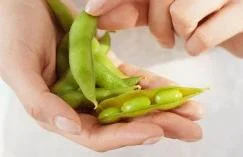 Can We Get Everything We Need From Food?