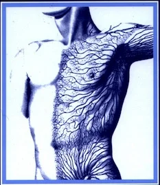 Fibromyalgia: Fact or Fiction?