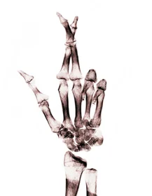 Why Are Minerals So Important?