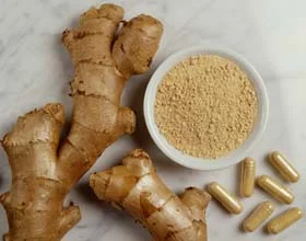 Ginger.jpg