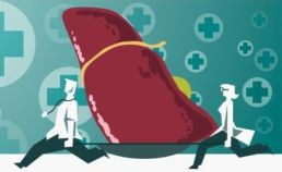 Liver-Graphic.jpg