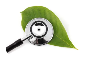 Alternative Medicine design.jpg