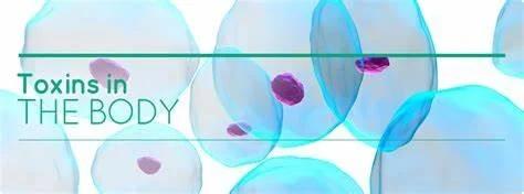 A New View of Detoxification