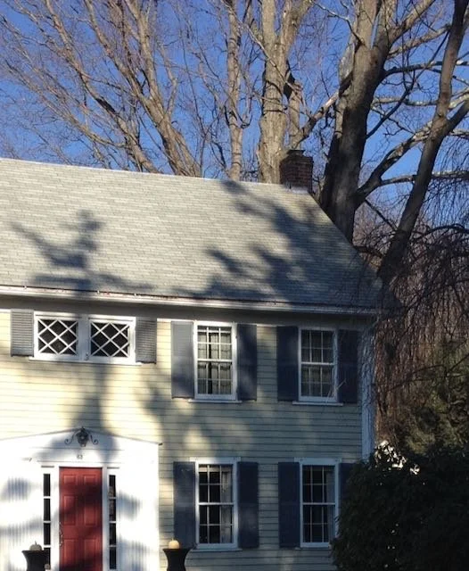 Lessons From Living Things